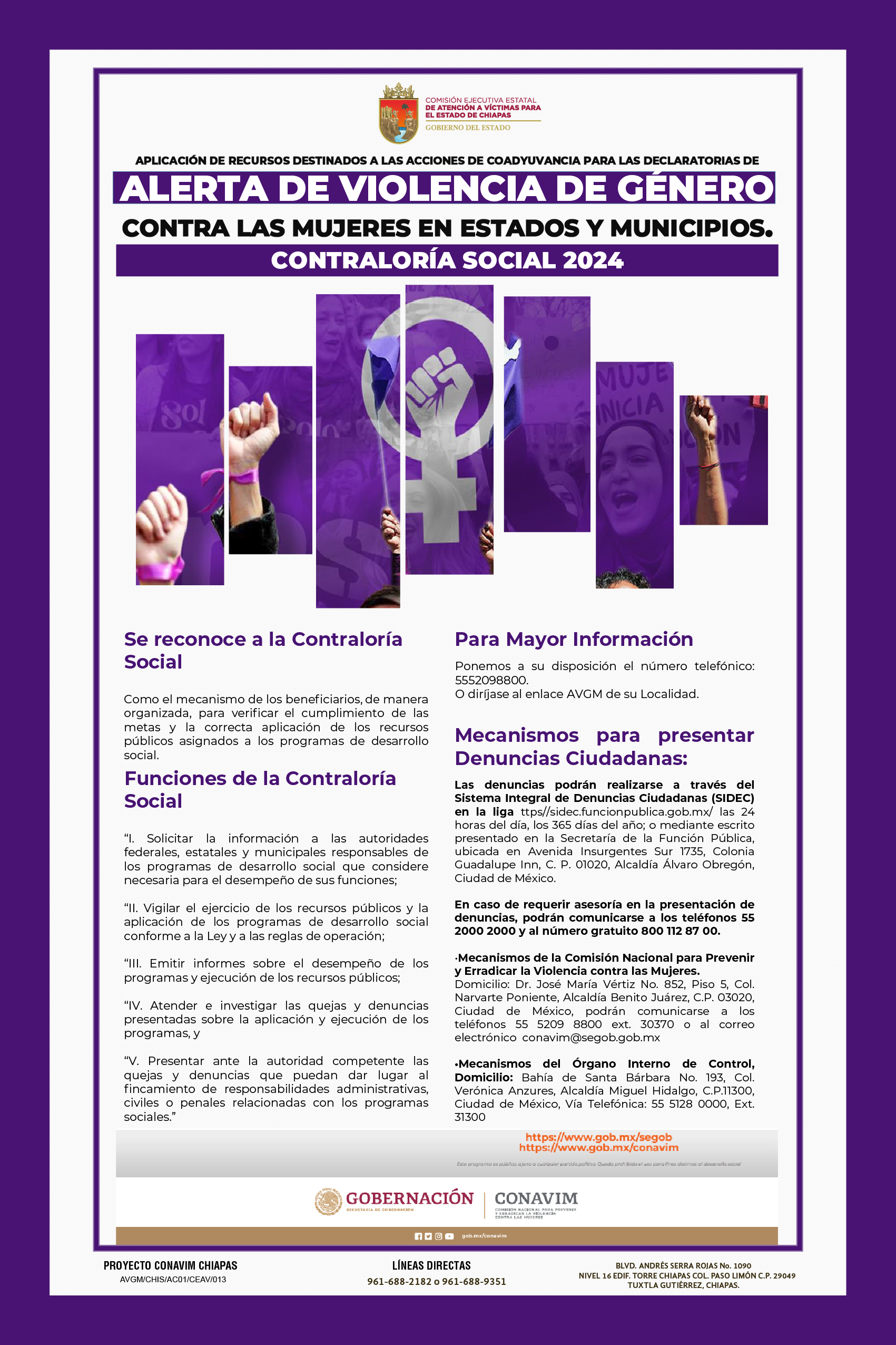 Cartel de Alerta de Violencia de Genero